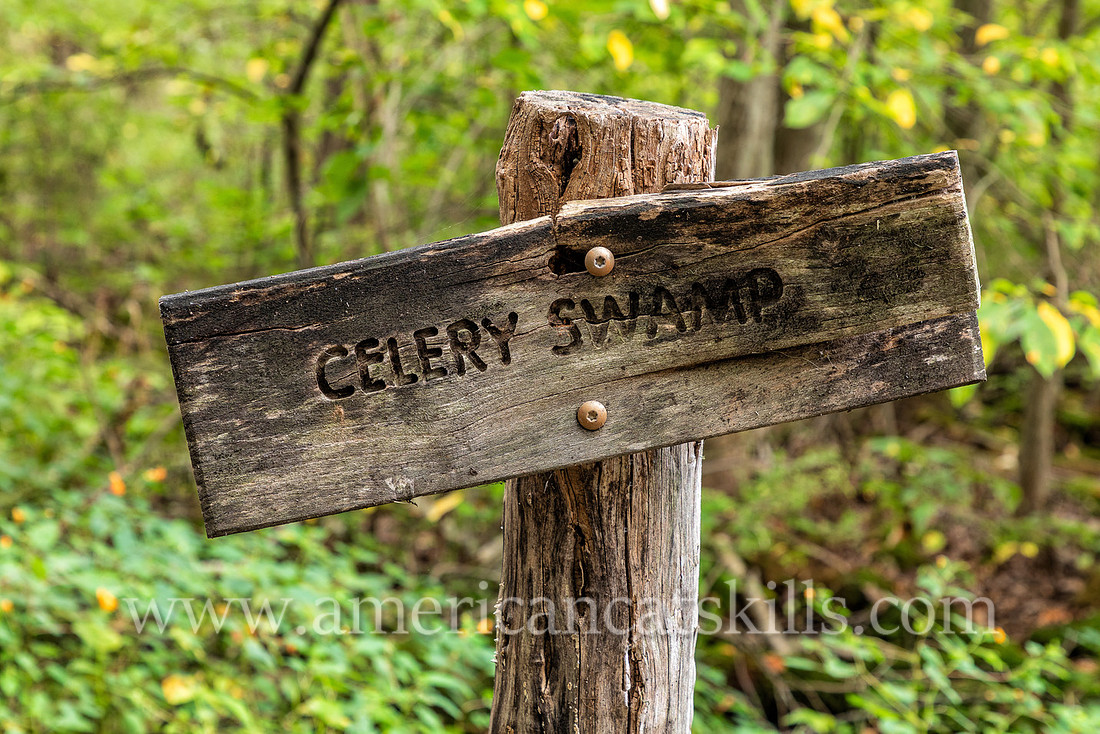 Photograph of a trail sign pointing to the Celery Swamp at the John Burroughs Nature Sanctuary in West Park, New York.