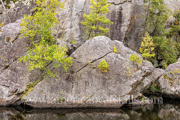 Photograph of rocky cliffs on the pond at the John Burroughs Nature Sanctuary in West Park, New York.
