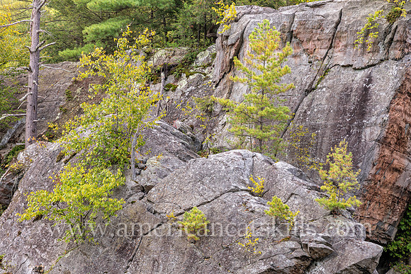 Photograph of rocky cliffs on the pond at the John Burroughs Nature Sanctuary in West Park, New York.