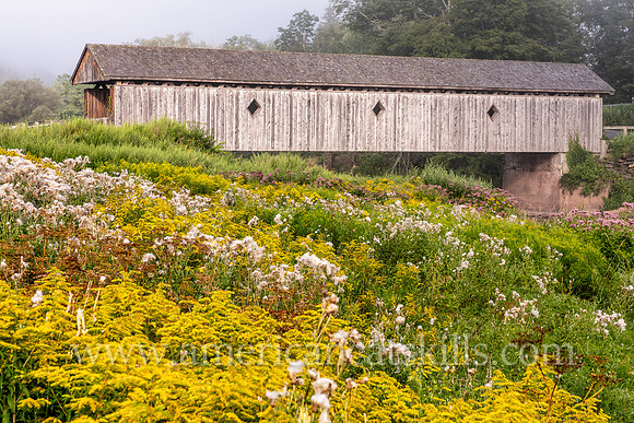 Photograph of Fitch’s Covered Bridge located in the western Catskills at East Delhi in Delaware County, New York.