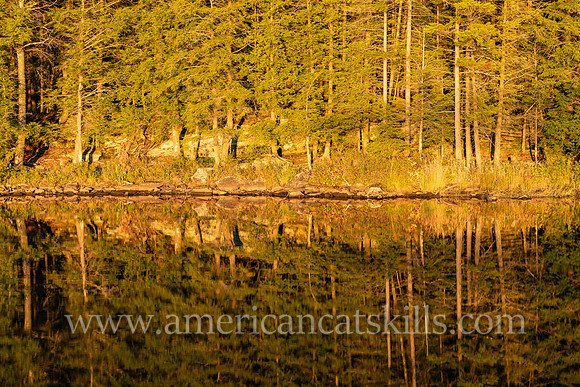 Photograph of evergreen trees reflecting in the lake at North-South Lake in Haines Falls, New York.