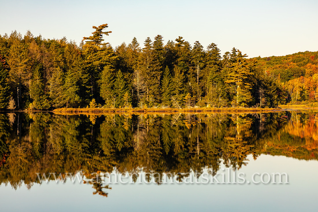 Photograph of evergreen trees reflecting in the lake at North-South Lake in the Catskills.