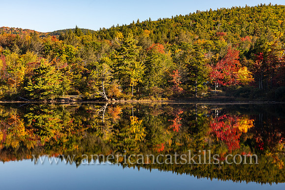 Photographs of trees in autumn reflecting in the late at North-South Lake in the Catskills.