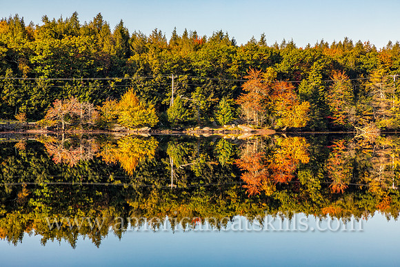 Photograph of trees reflecting in the lake at North-South Lake in the Catskills.
