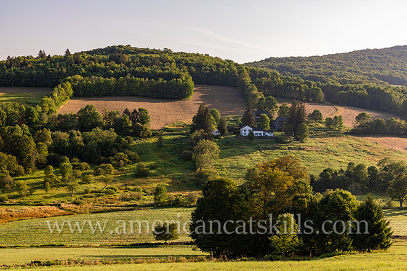 On the Hillside