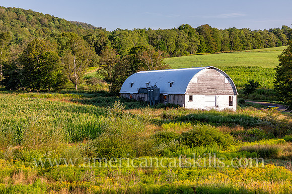 Photograph of the Maynard Farm near Bovina in Delaware County, New York.