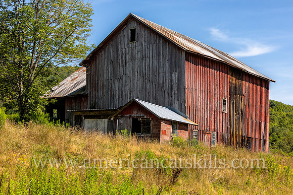 Photograph of an abandoned barn with fading red paint in Delaware County, New York.