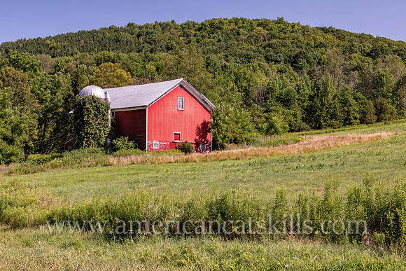 Photograph of an old red barn with a vegetation-covered silo in Delaware County, New York.