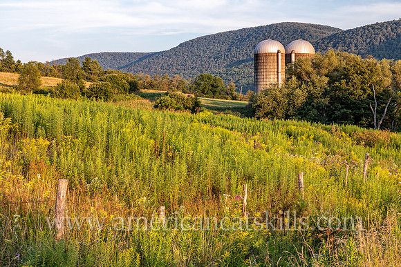 Photograph of barn silos in the late afternoon light in Delaware County, New York.