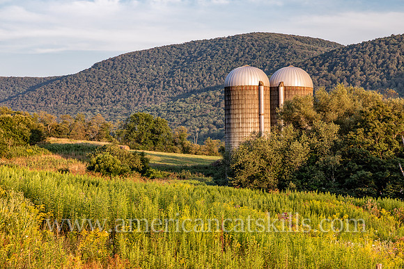 Photograph of barn silos in the late afternoon light in Delaware County, New York.
