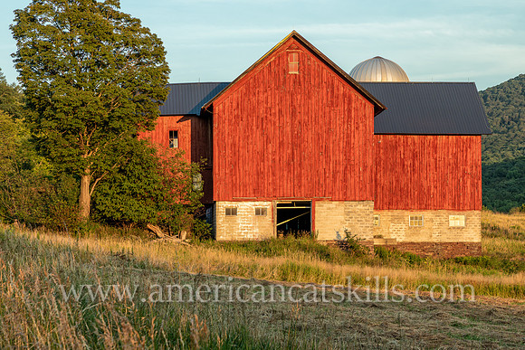Photograph of a red barn in late afternoon light on the Roses Brook in Delaware County, New York.