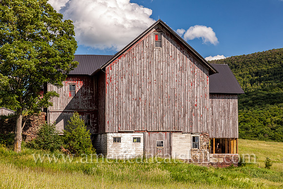 Photograph of a barn with fading paint in the afternoon light on the Roses Brook in Delaware County, New York.
