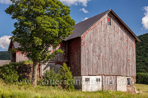 Photograph of a barn with fading paint in the afternoon light on the Roses Brook in Delaware County, New York.Photograph of a barn with fading paint in the afternoon light on the Roses Brook in Delawa
