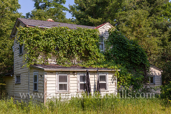 Anybody Home?