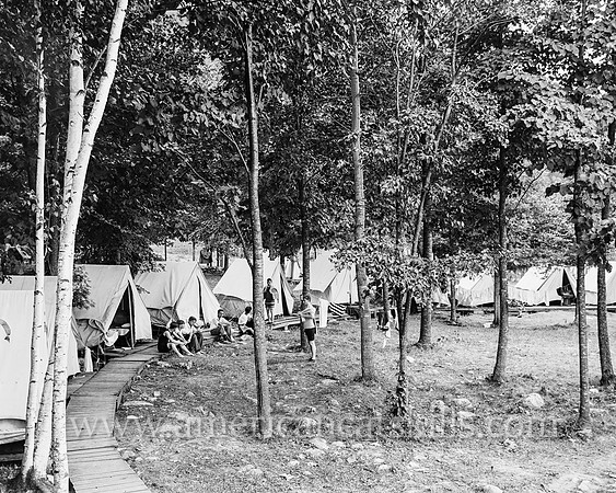 [Camping in the woods]