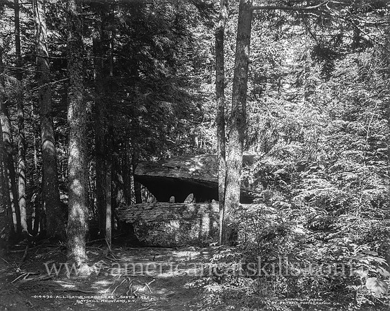 Alligator Head near South Lake, Catskill Mountains, N.Y.