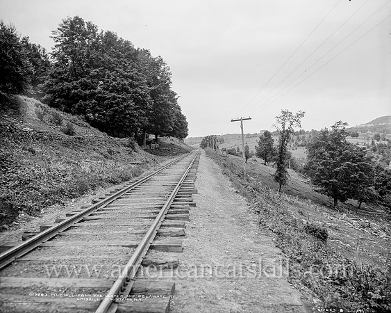 Pine Hill from the Ulster and Delaware Ry., Catskill Mountains, N.Y. (1)
