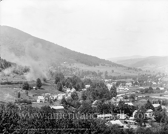 Fleischmann's and Hotel Switzerland, Catskill Mountains, N.Y. (1)