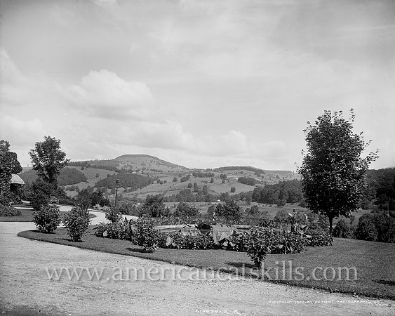 Cottage and grounds of Mr. Fleischmann, Fleischmann's, Catskill Mountains, N.Y. (2)