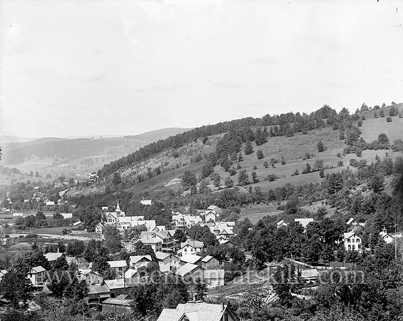 Fleischmann's and Hotel Switzerland, Catskill Mountains, N.Y. (2)