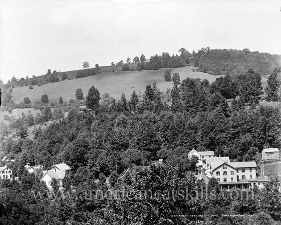 Fleischmann's and Hotel Switzerland, Catskill Mountains, N.Y. (3)