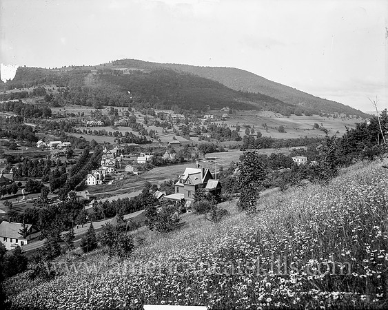 Fleischmann's, Catskill Mountains, N.Y. (2)