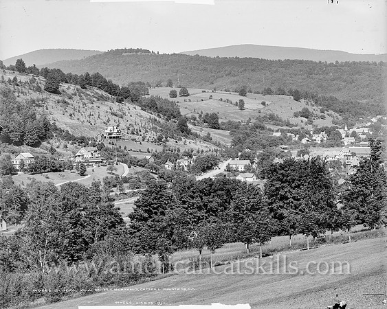 General view of Fleischmann's, Catskill Mountains, N.Y. (1)