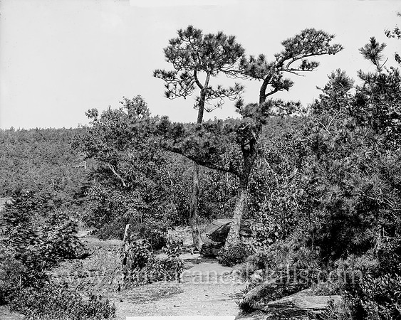 Hotel Kaaterskill from Boulder Rock, Catskill Mountains, N.Y. (3)