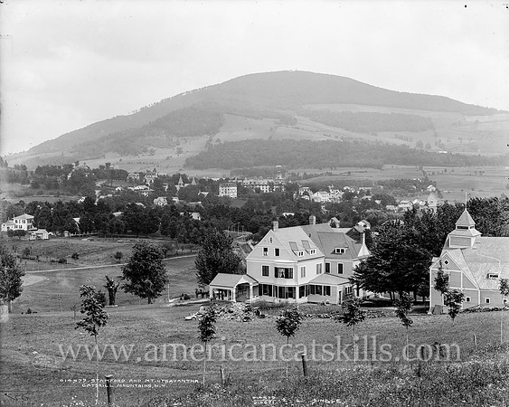 Stamford and Mt. Utsayantha, Catskill Mountains, N.Y. (1)