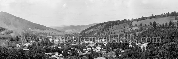 Fleischmann's and Hotel Switzerland, Catskill Mountains, N.Y.