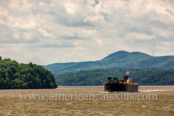 Photograph of the Coral Coast of Chesapeake City, Maryland on the Hudson River near Kingston, New York.