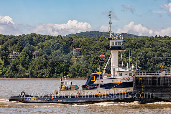 Photograph of the Coral Coast of Chesapeake City, Maryland on the Hudson River near Kingston, New York.