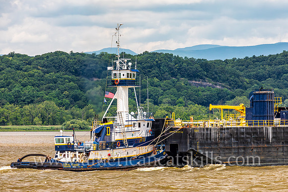 Photograph of the Coral Coast of Chesapeake City, Maryland on the Hudson River near Kingston, New York.