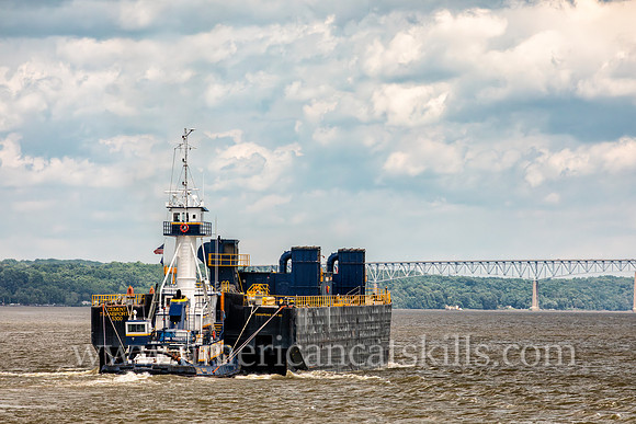 Photograph of the Coral Coast of Chesapeake City, Maryland on the Hudson River near Kingston, New York.
