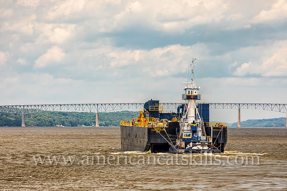 Photograph of the Coral Coast of Chesapeake City, Maryland on the Hudson River near Kingston, New York.