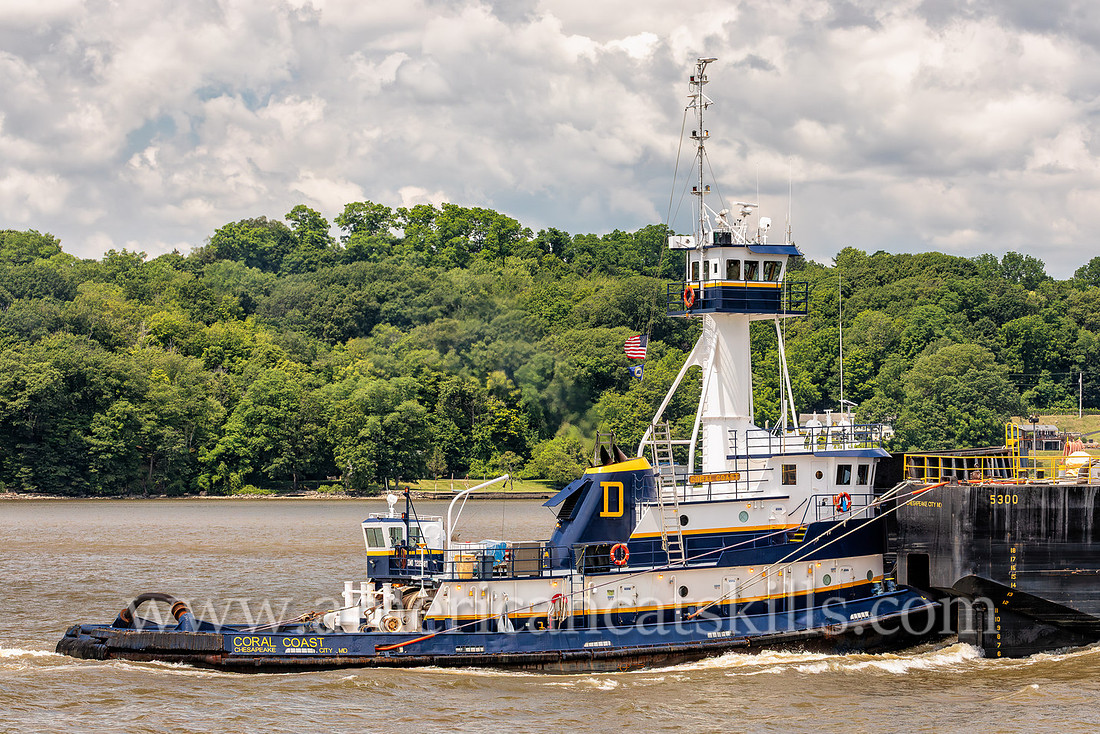 Photograph of the Coral Coast of Chesapeake City, Maryland on the Hudson River near Kingston, New York.