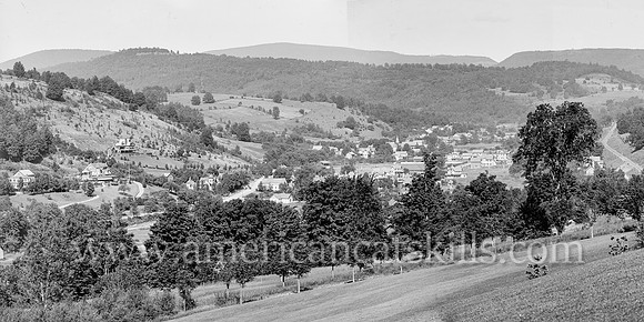 General view of Fleischmann's, Catskill Mountains, N.Y.