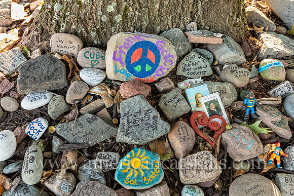 At the Peace Tree