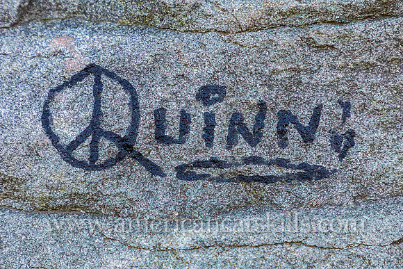 Quinn