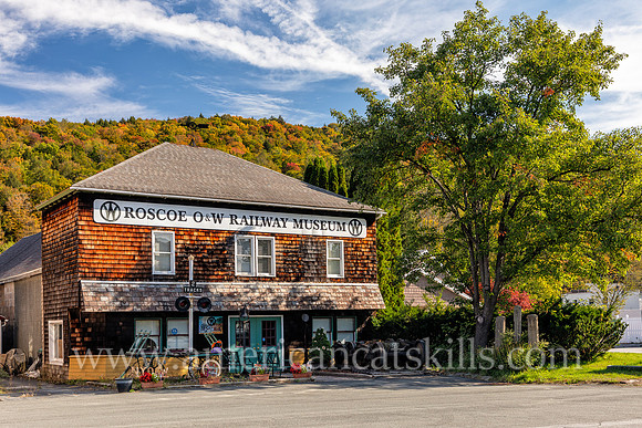 Photograph of the Roscoe O&W Railway Museum in Roscoe, New York.