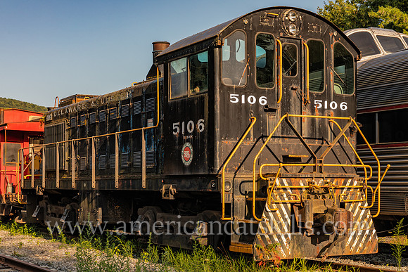 Photograph of trains at the Delaware and Ulster Railroad in Arkville, New York.