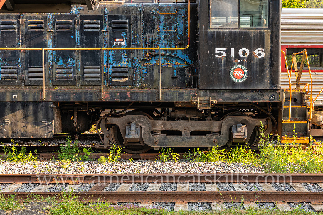 Photograph of trains at the Delaware and Ulster Railroad in Arkville, New York.