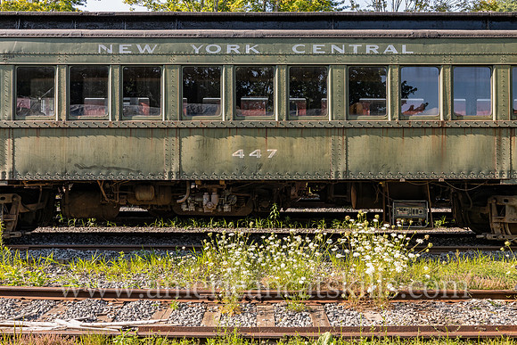 Photograph of the New York Central train #447 at the Delaware and Ulster Railroad in Arkville, New York.
