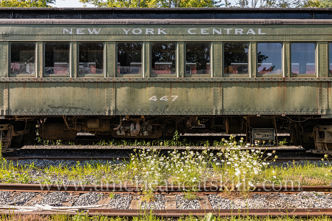 Photograph of the New York Central train #447 at the Delaware and Ulster Railroad in Arkville, New York.