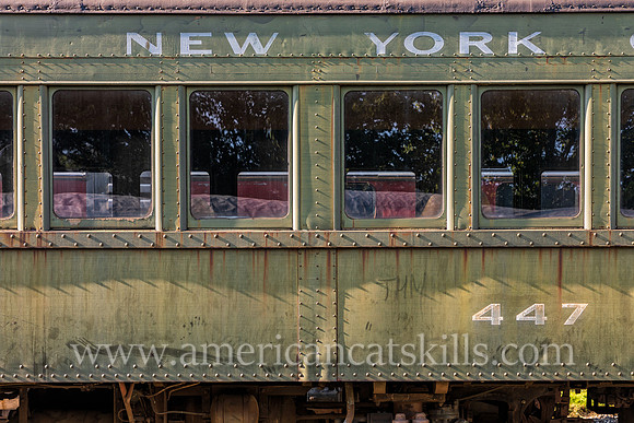 Photograph of the New York Central train #447 at the Delaware and Ulster Railroad in Arkville, New York.
