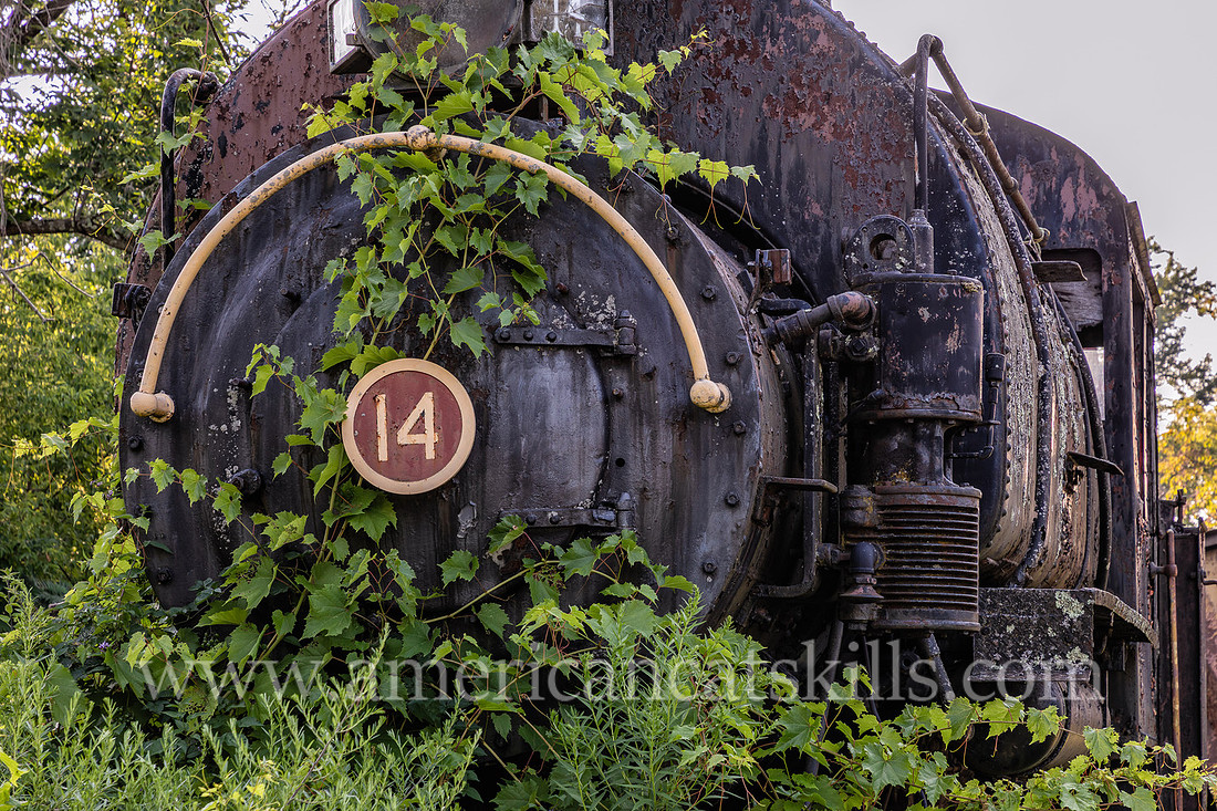 Photograph of trains at the Delaware and Ulster Railroad in Arkville, New York.