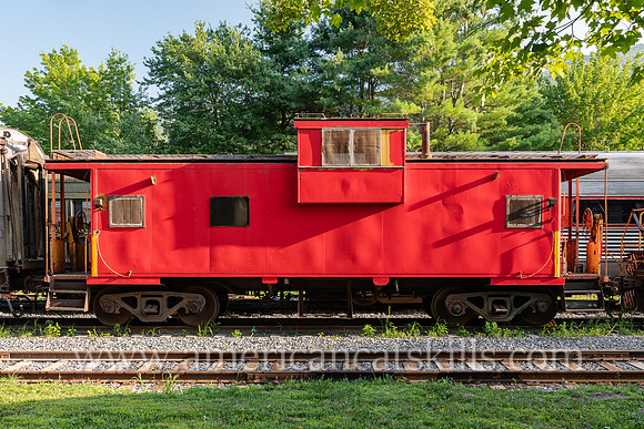 Photograph of trains at the Delaware and Ulster Railroad in Arkville, New York.