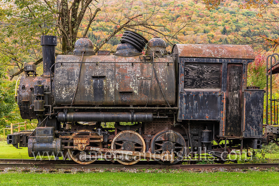 Photograph of trains at the Delaware and Ulster Railroad in Arkville, New York.