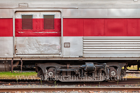 Photograph of the Rip Van Winkle Flyer at the Delaware and Ulster Railroad in Arkville, New York.