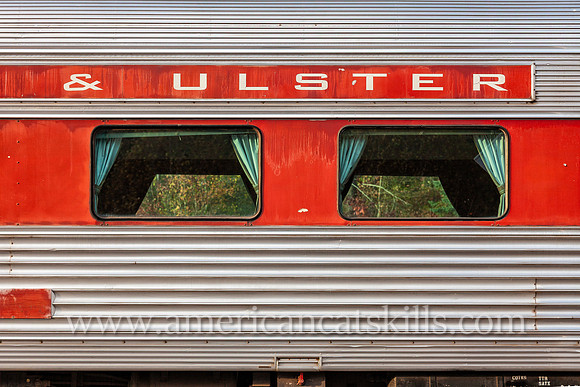 Photograph of trains at the Delaware and Ulster Railroad in Arkville, New York.